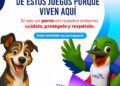 Miderec protege perros que habitan en instalaciones de Juegos Centroamericanos