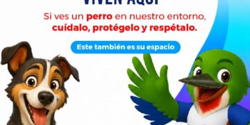 Miderex protege perros que habitan en instalaciones de Juegos Centroamericanos