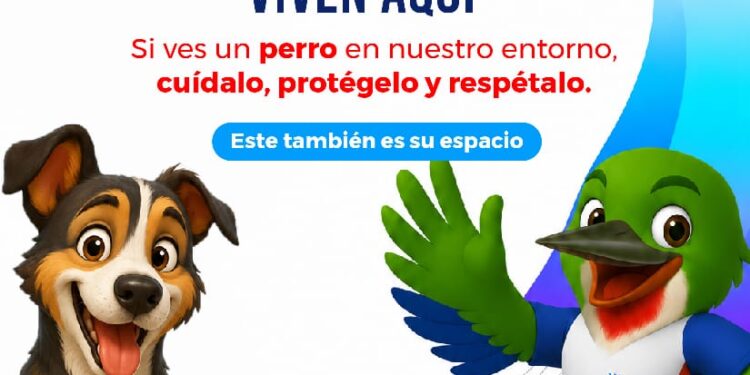 Miderec protege perros que habitan en instalaciones de Juegos Centroamericanos