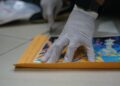 Frustran envío de varias láminas de cocaina ocultas en folders y documentos