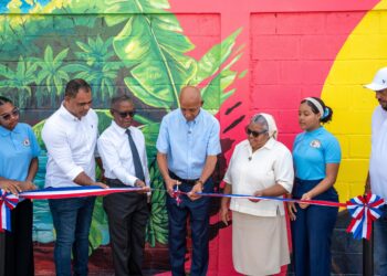 Propeep entrega más de mil metros cuadrados de arte urbano en Vicente Noble y Sabana Yegua