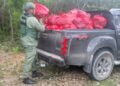 Autoridades incautan decenas de sacos de carbón en zona agrícola de El Gato, La Noria, en La Romana