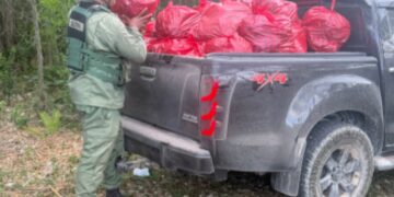 Autoridades incautan decenas de sacos de carbón en zona agrícola de El Gato, La Noria, en La Romana