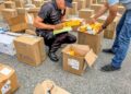 Incautan 46 millones de medicamentos e insumos hospitalarios a red ilegal