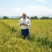 Video confirma postura del ministro de Agricultura sobre polémica por supuesta dispensa al sector arrocero