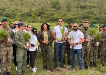 Alfridomsa impulsa la conservación ambiental con nueva jornada de reforestación en Constanza